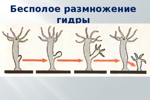 Кракен официальная ссылка зеркало