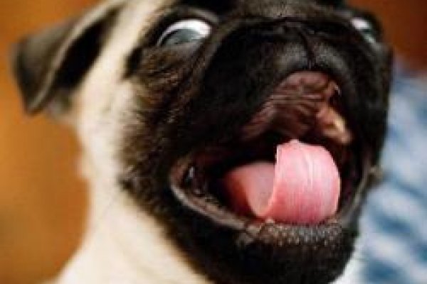 Кракен наркоман