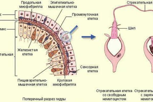 Кракен маркет что