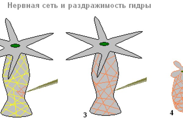 Рабочие ссылки и зеркала кракен