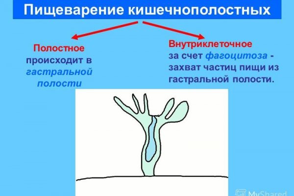 Как зарегистрироваться на кракене