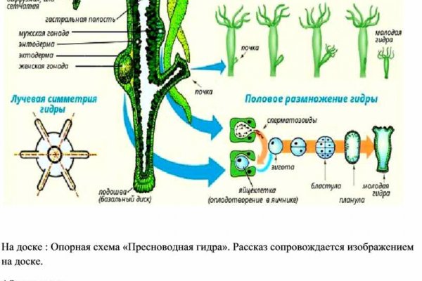 Kraken оригинальная ссылка