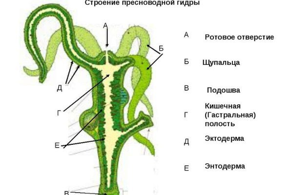 Кракен актуальная ссылка на сегодня