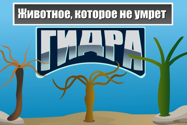 Кракен сайт маркетплейс