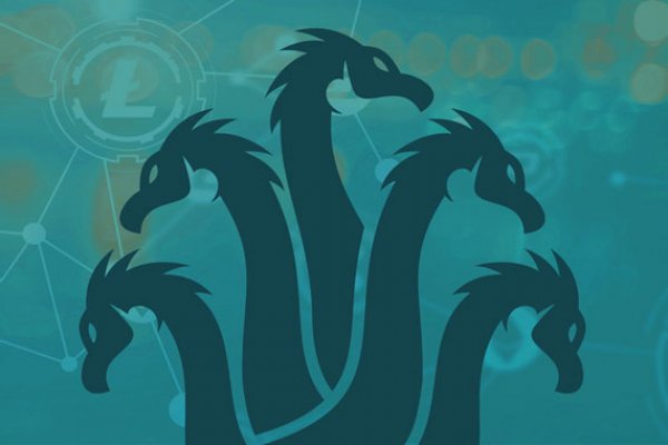 Kraken 19at